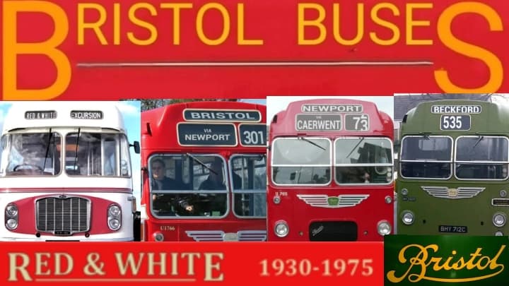 4 buses